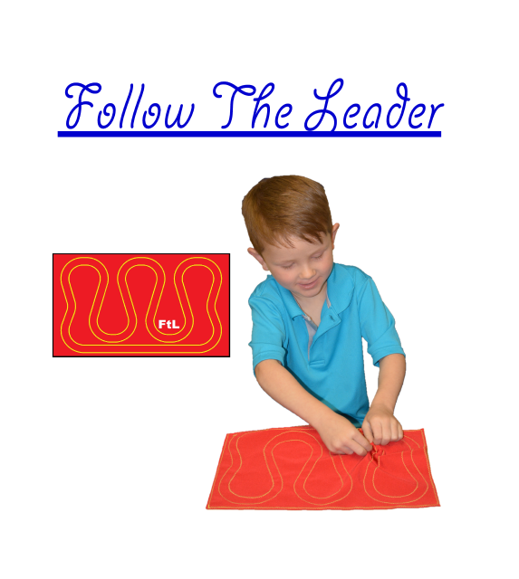 Follow the Leader (OUT OF STOCK)