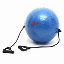 Multi-Functional Blue Gym Ball with Straps